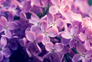 长沙芙蓉区赎楼担保服务提升房产交易效率